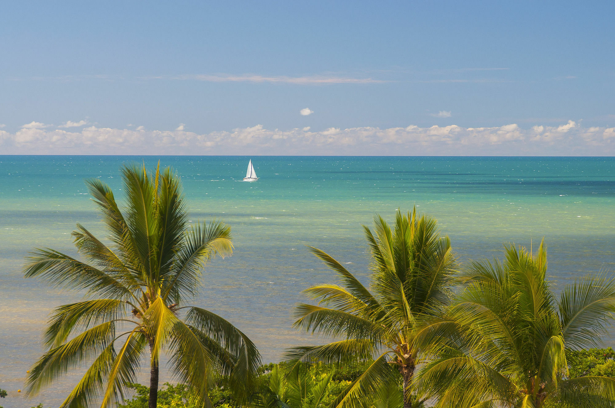 On The Beach Apartments Trinity Beach Luaran gambar